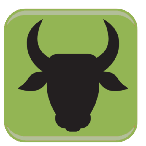 Butcher Shop
